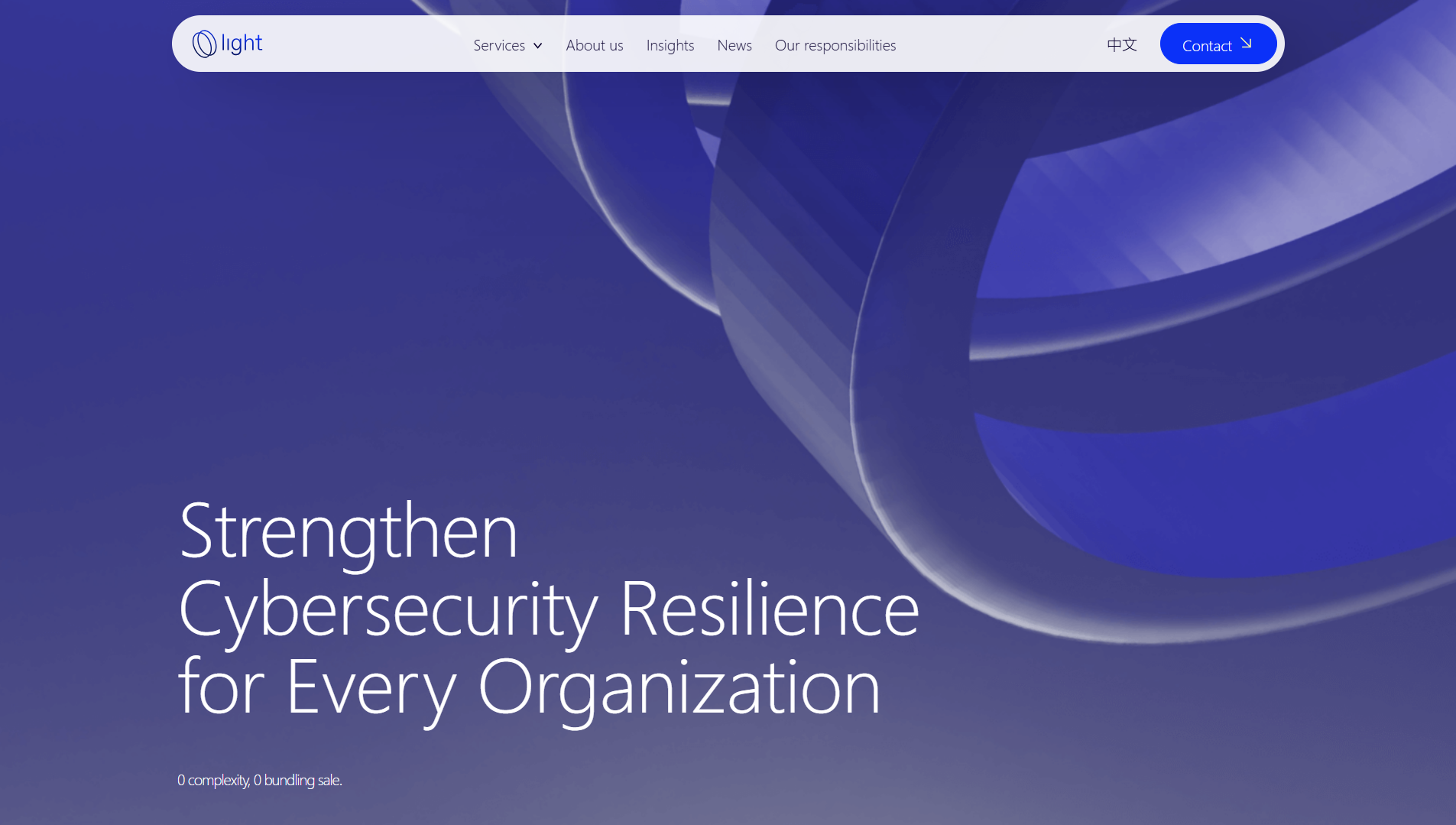 Light Security Consulting Preview
